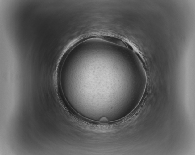 X0000116610008200912181215