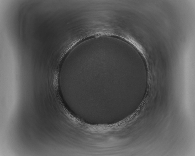 X0000116610009200912181215