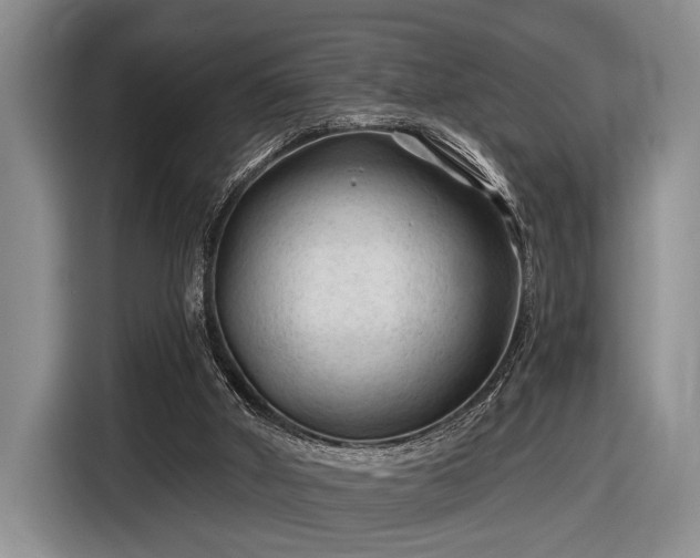 X0000116610010200912181215