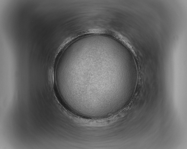 X0000116610011200912181215