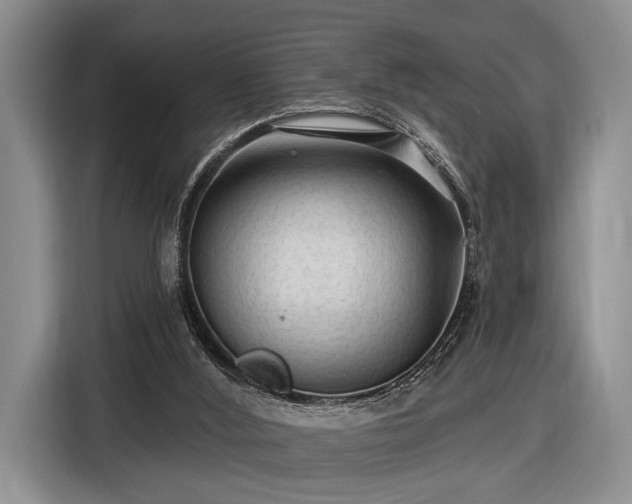 X0000116610012200912181215