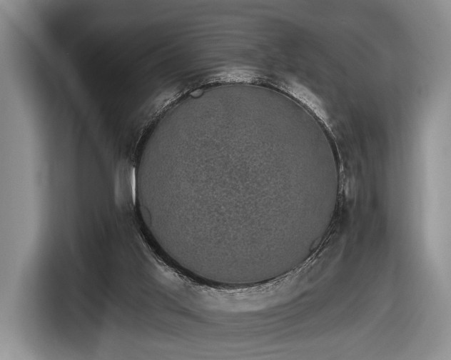 X0000116610013200912181215