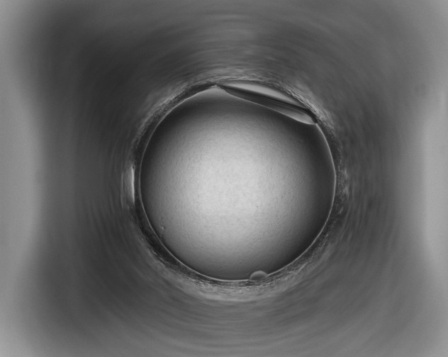 X0000116610014200912181215