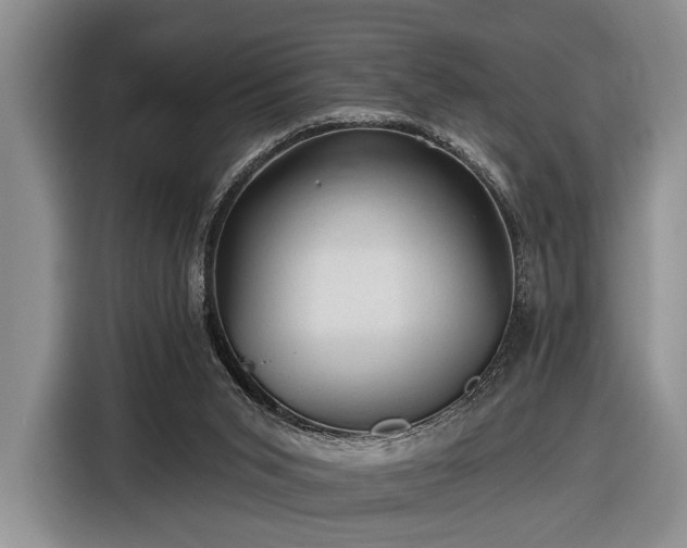 X0000116610015200912181215