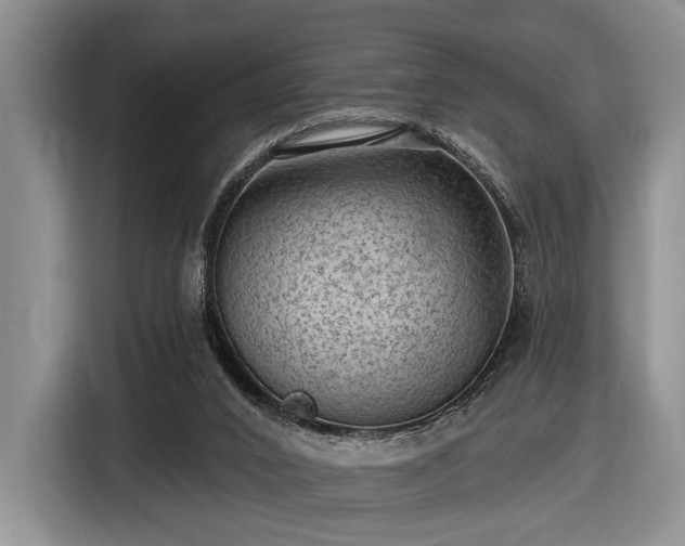 X0000116610016200912181215