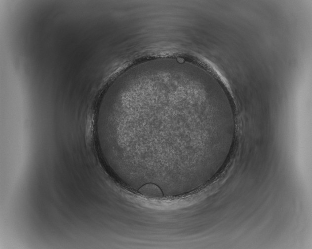 X0000116610018200912181215