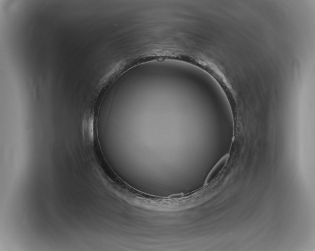 X0000116610019200912181215