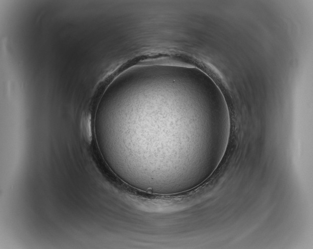 X0000116610020200912181215