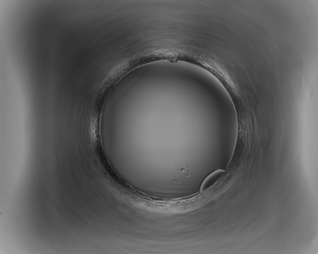 X0000116610023200912181215