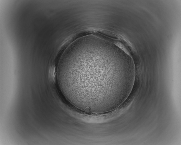 X0000116610024200912181215