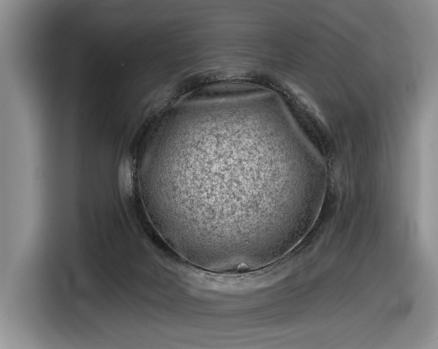 X0000116610026200912181215