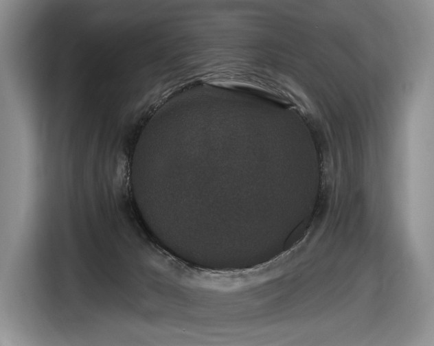 X0000116610029200912181215