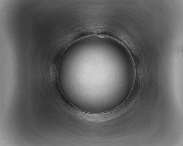 X0000116610030200912181215