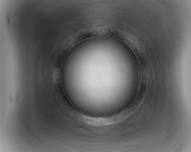 X0000116610034200912181215