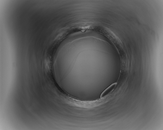 X0000116610035200912181215