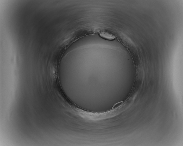 X0000116610039200912181215