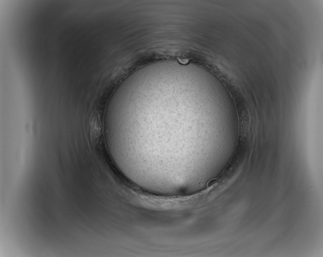 X0000116610040200912181215