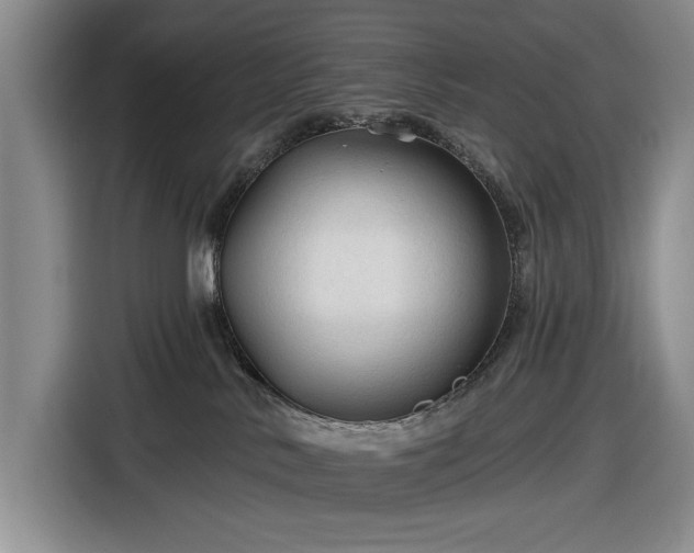 X0000116610042200912181215