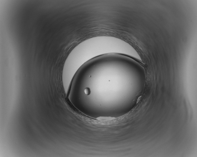 X0000116610043200912181215