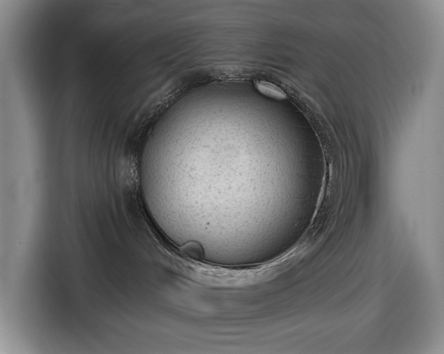 X0000116610048200912181215