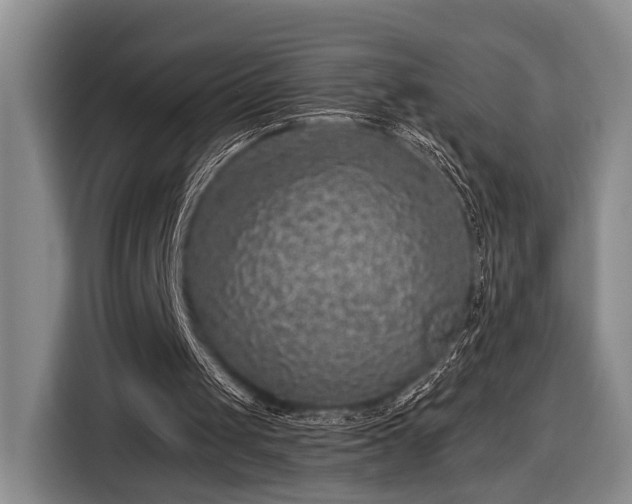 X0000116610049200912181214