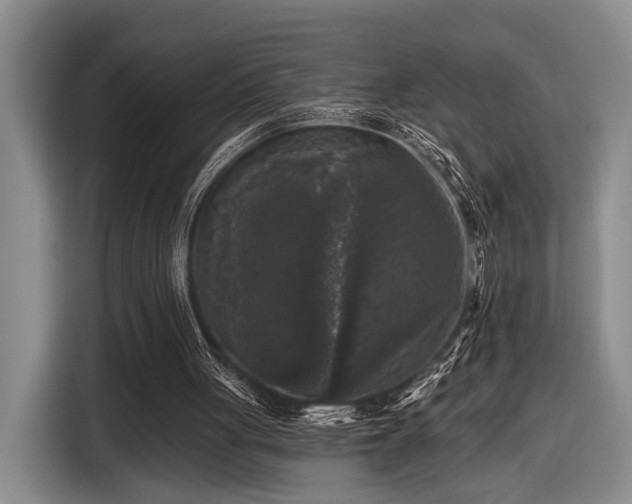 X0000116610051200912181214