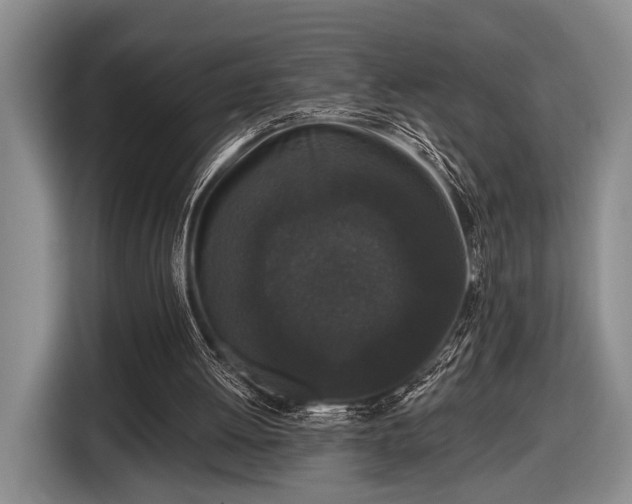 X0000116610052200912181214