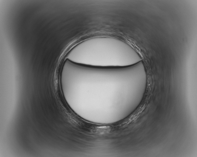 X0000116610053200912181214