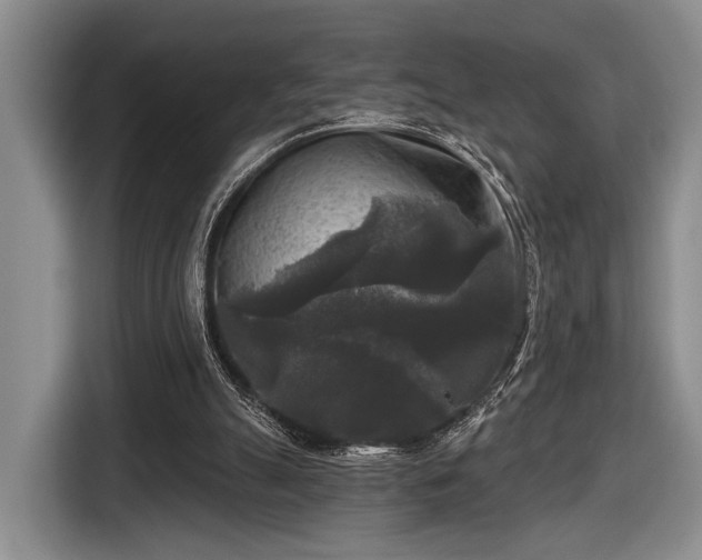 X0000116610055200912181214