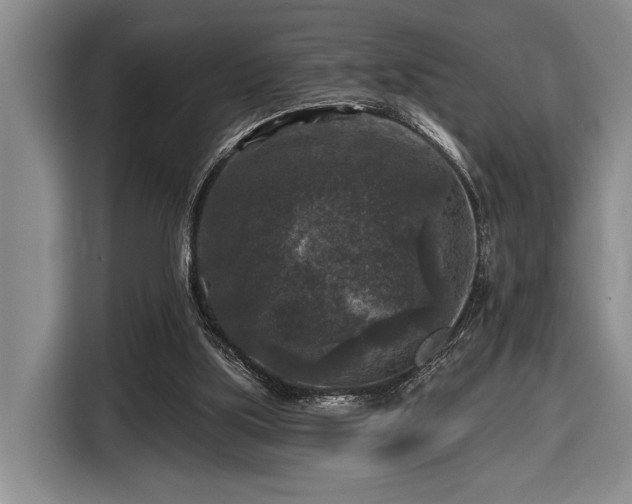 X0000116610059200912181214