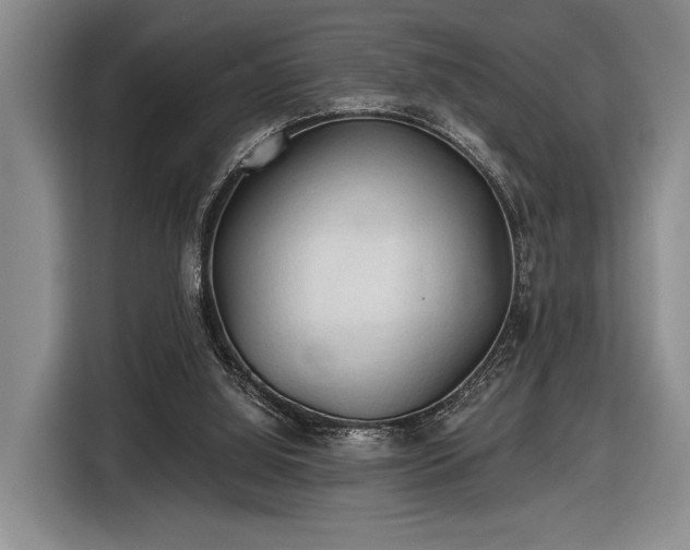 X0000116610060200912181214