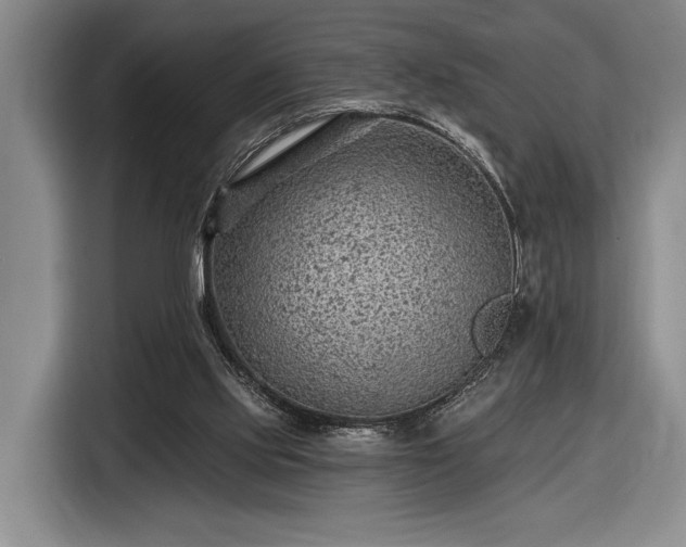 X0000116610061200912181214