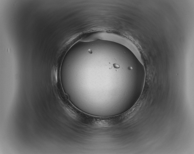 X0000116610062200912181214