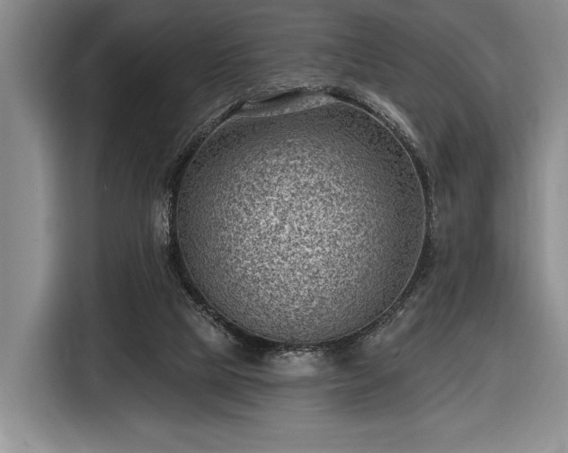 X0000116610065200912181214