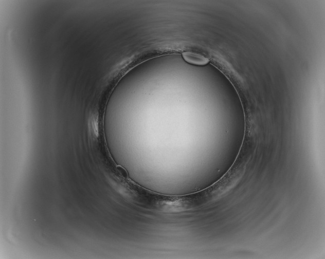 X0000116610068200912181214