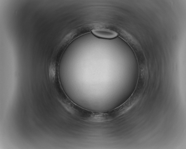 X0000116610072200912181215