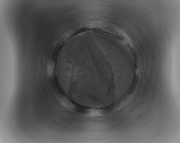 X0000116610073200912181215