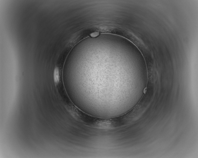 X0000116610075200912181215