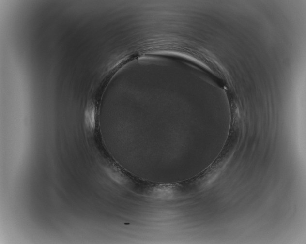 X0000116610076200912181215