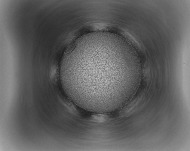 X0000116610079200912181215