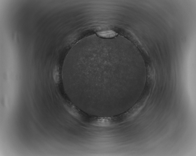 X0000116610080200912181215