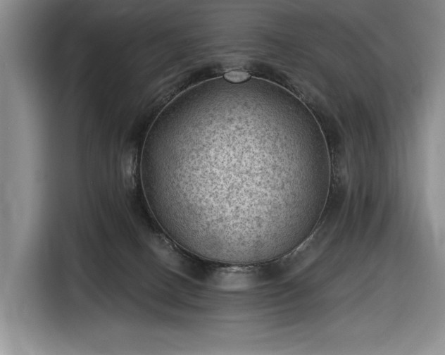 X0000116610082200912181215