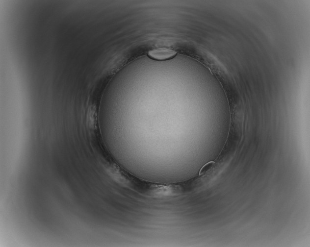 X0000116610083200912181215