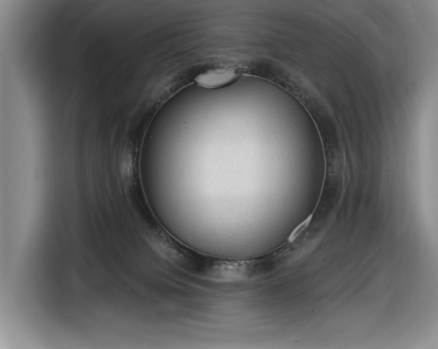 X0000116610084200912181215