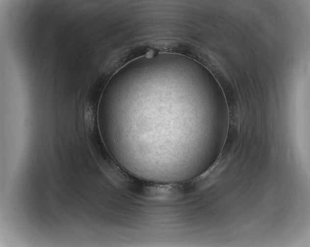 X0000116610086200912181215