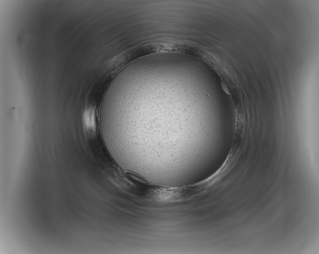 X0000116610094200912181215