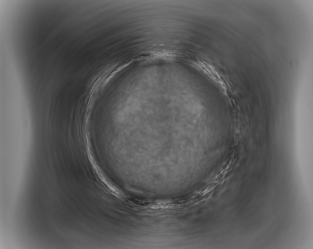 X0000116610097200912181214