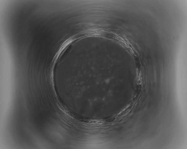 X0000116610099200912181214