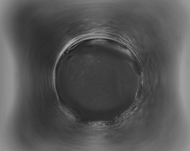 X0000116610100200912181214