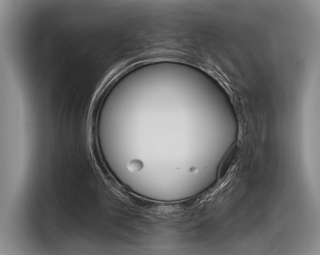 X0000116610101200912181214